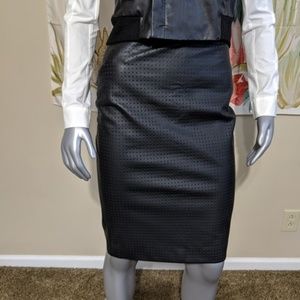 Banana Republic Pencil Skirt